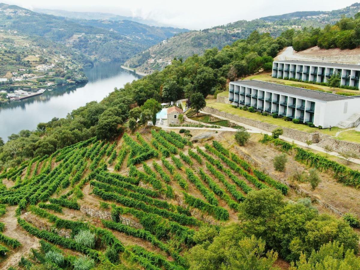 Douro Palace Hotel Resort & Spa Santa Cruz do Douro Kültér fotó